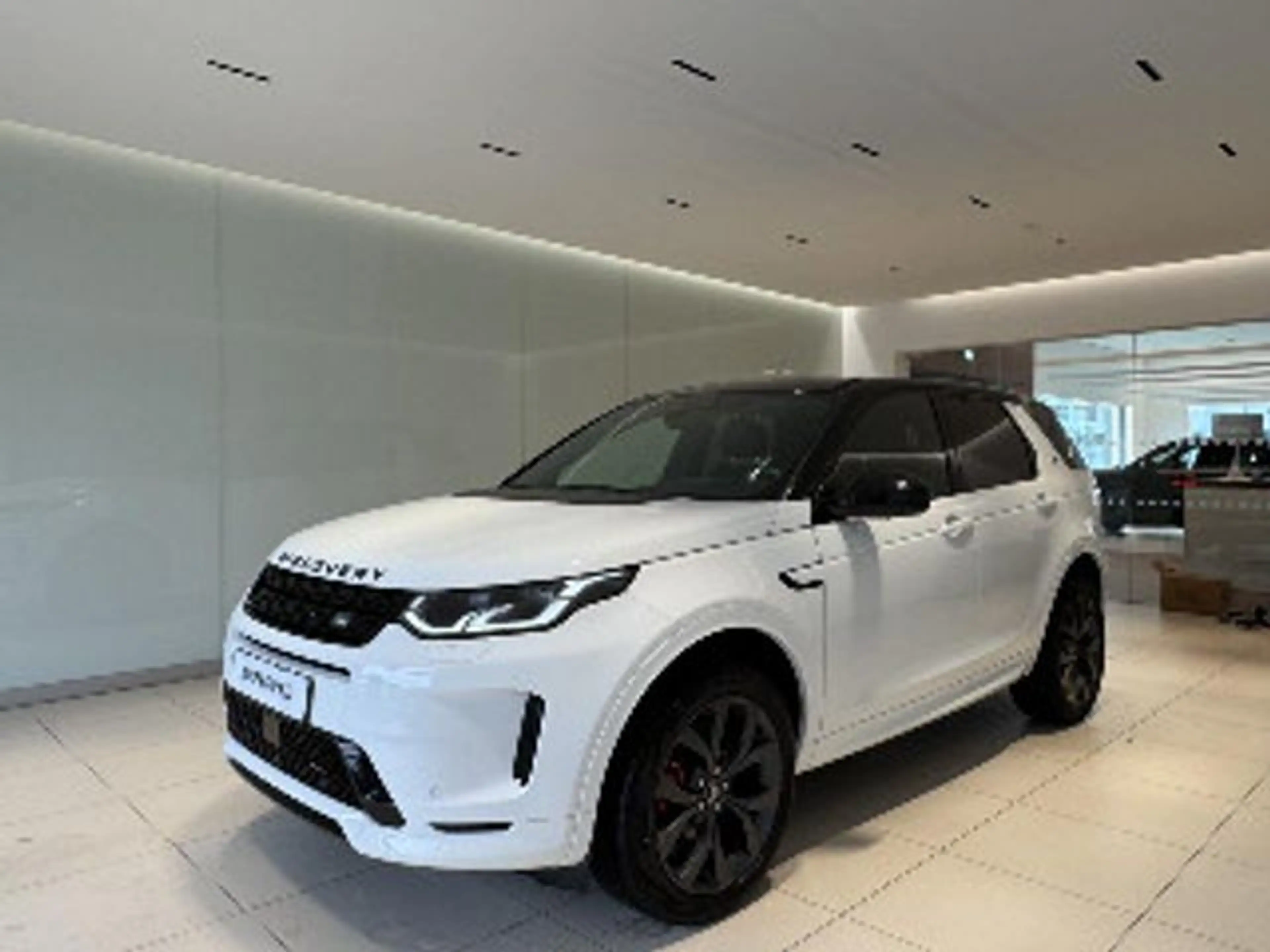 Land Rover Discovery Sport P250 R-Dyn SE AHK HUD Winter Paket — photo 14