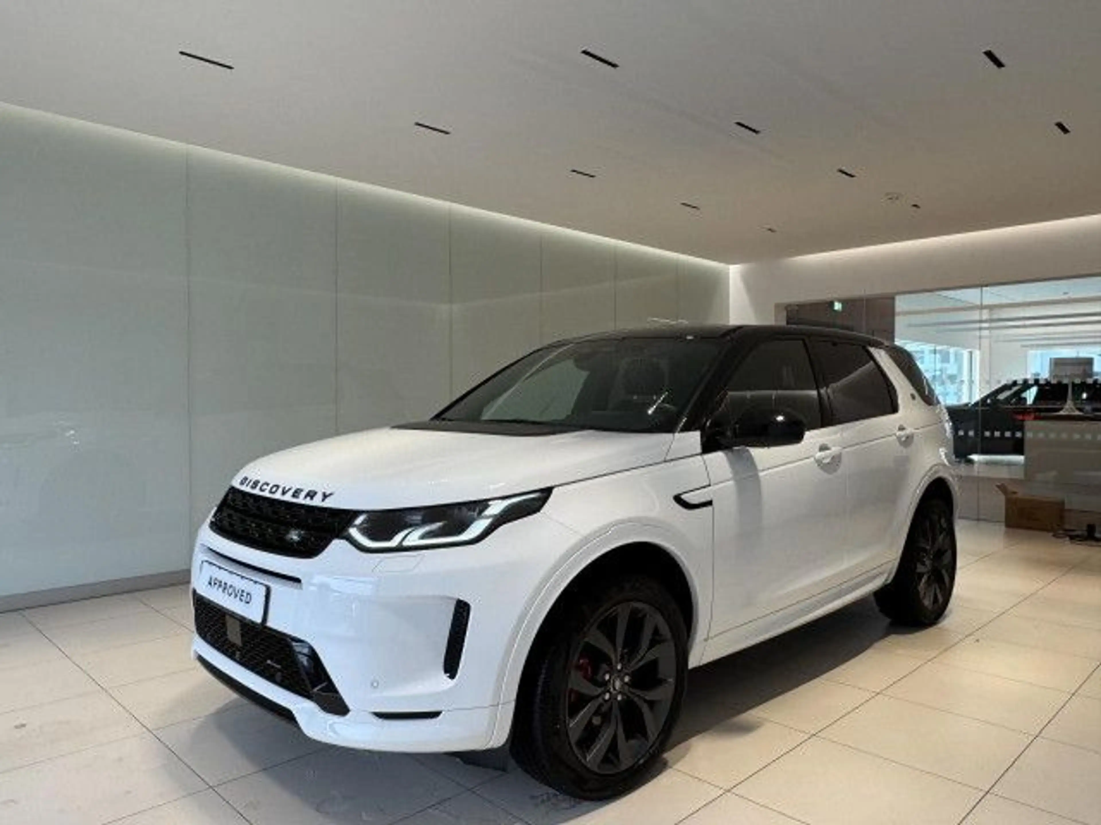 Land Rover Discovery Sport P250 R-Dyn SE AHK HUD Winter Paket — photo 2