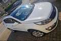 Kia Sportage Platinum Edition 4WD Weiß - thumbnail 1