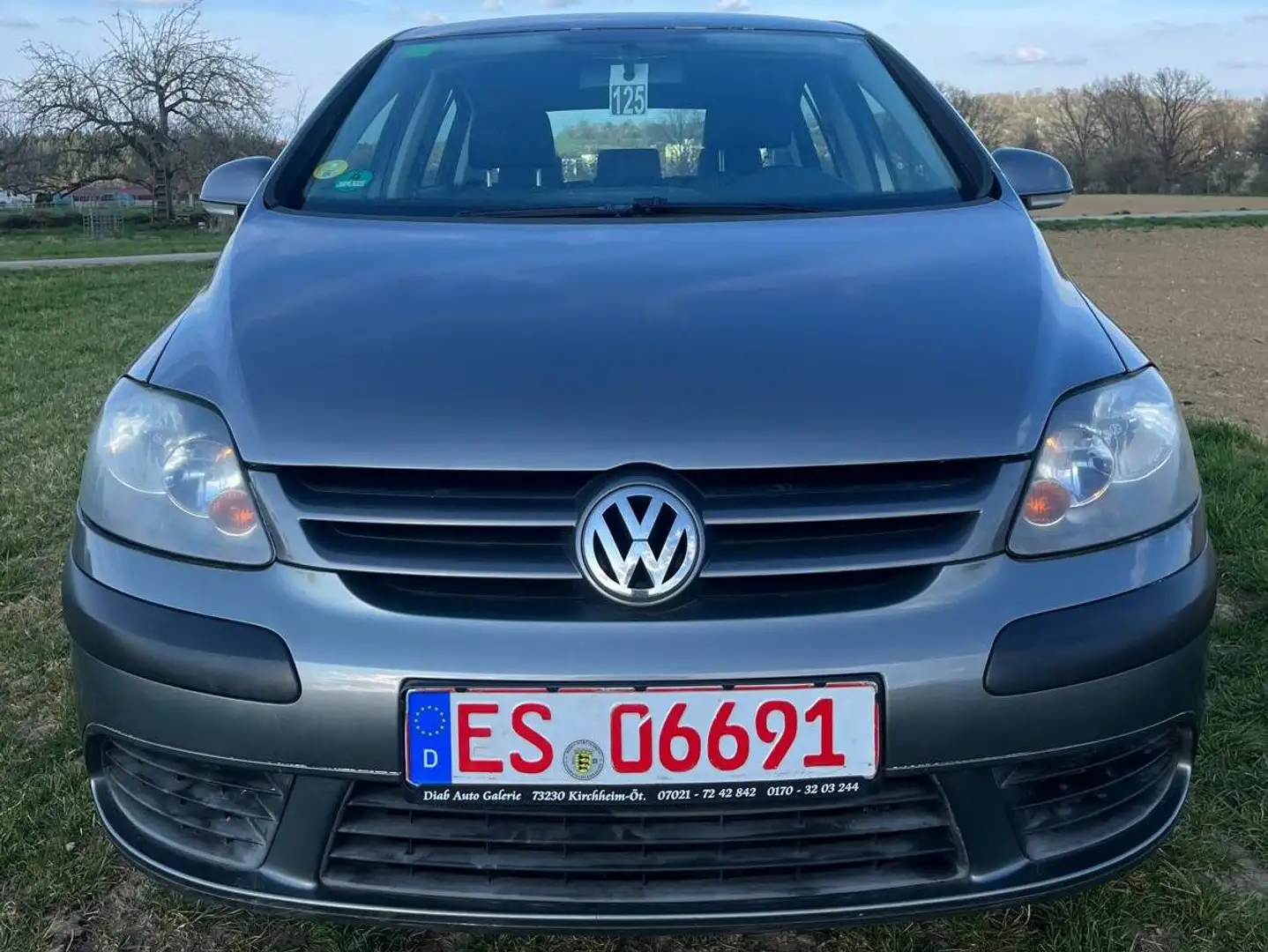 Volkswagen Golf Plus Trendline Grau - 2
