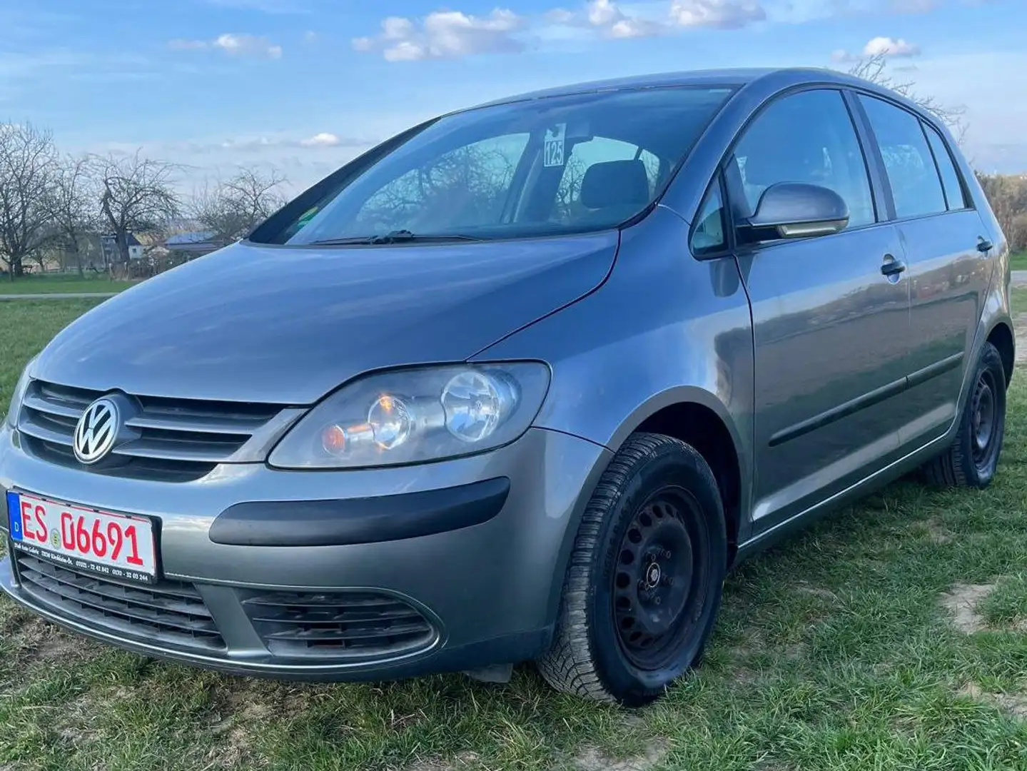 Volkswagen Golf Plus Trendline Grau - 1