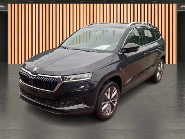 Skoda Karoq view 2