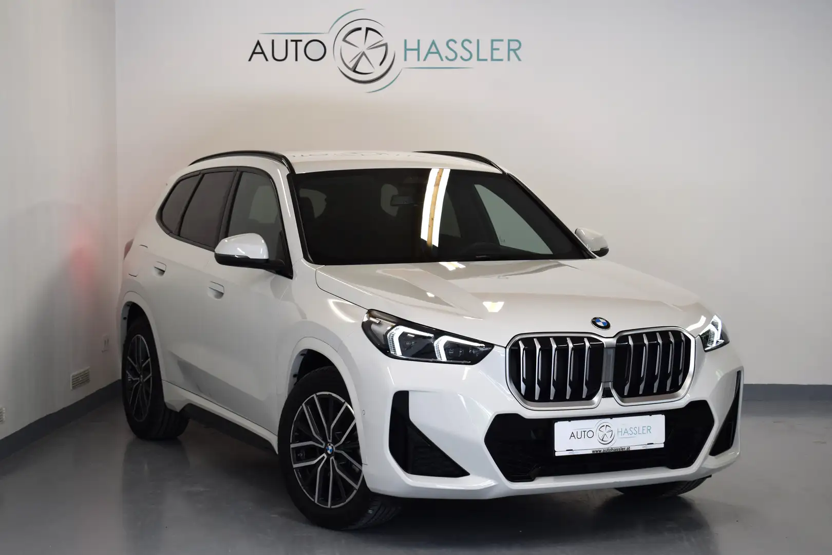 BMW X1 xDrive 20d M Sport Weiß - 2