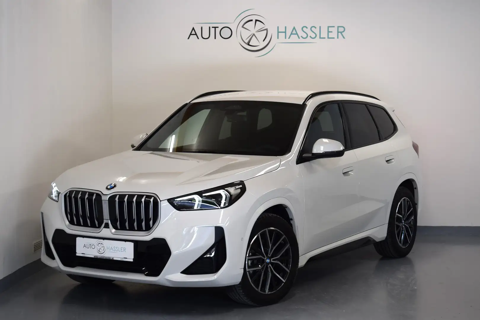 BMW X1 xDrive 20d M Sport Weiß - 1