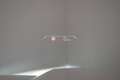 BMW X1 xDrive 20d M Sport Weiß - thumbnail 11