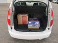 Skoda Roomster 1.6 tdi Ambition 90cv Blanc - thumbnail 11