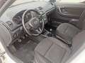 Skoda Roomster 1.6 tdi Ambition 90cv Blanc - thumbnail 14
