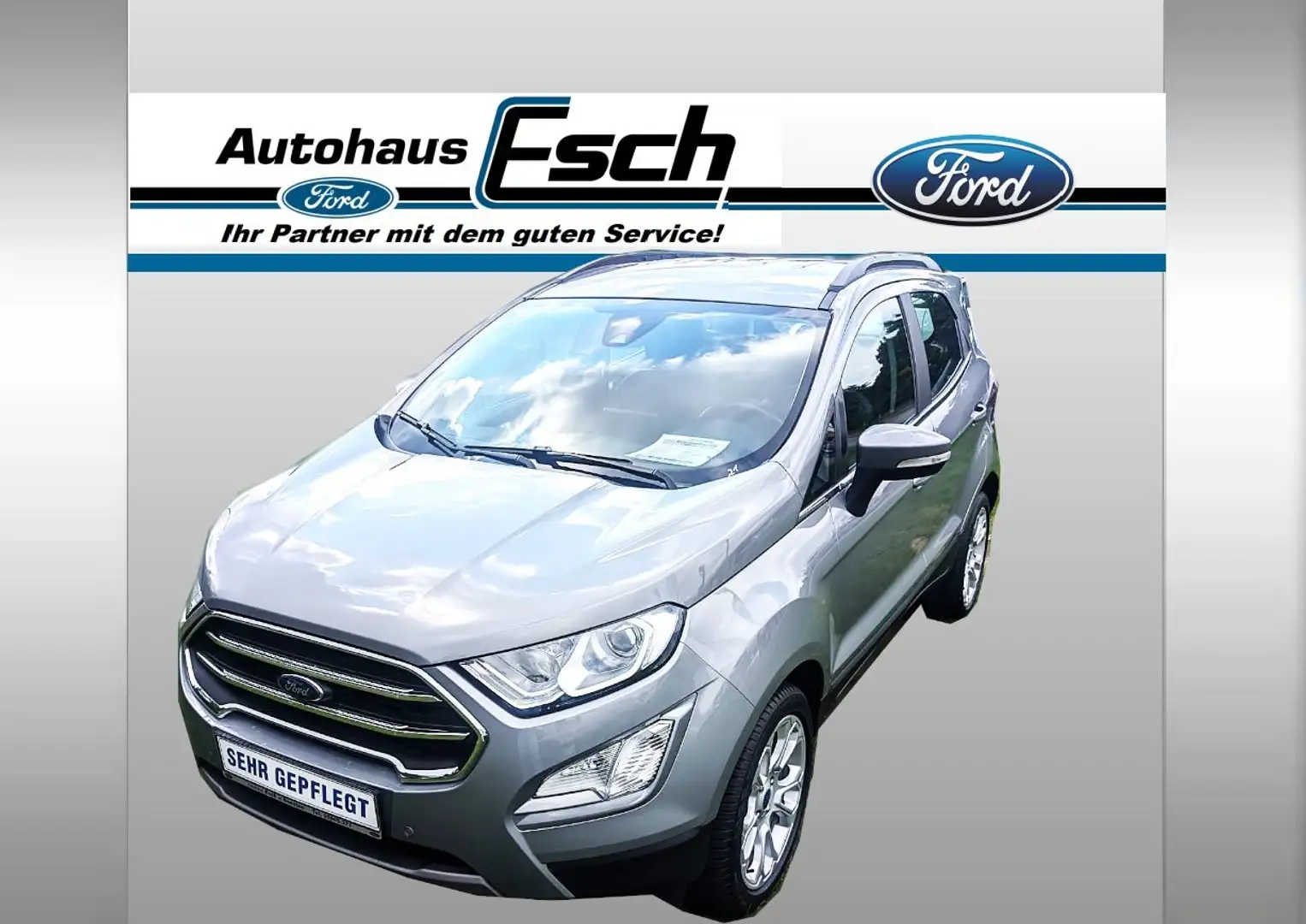 Ford EcoSport Titanium  #B&O Sound# Kamera# Navi# Key Free Grau - 1