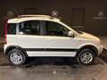 Fiat Panda 1.3 MJT 16V 4x4 Climbing - ELD - Blanco - thumbnail 4