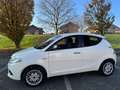Lancia Ypsilon Ypsilon  1.2  69cv my16 Білий - thumbnail 1