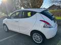 Lancia Ypsilon Ypsilon  1.2  69cv my16 Білий - thumbnail 6