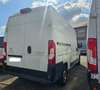 Peugeot Boxer Furgón 2.2BlueHDI 335 L2H2 Pack S&S 140 Weiß - thumbnail 5