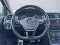 Volkswagen Golf VII Variant Alltrack 4Motion/DSG/ACC/VIRTUA Grau - thumbnail 14