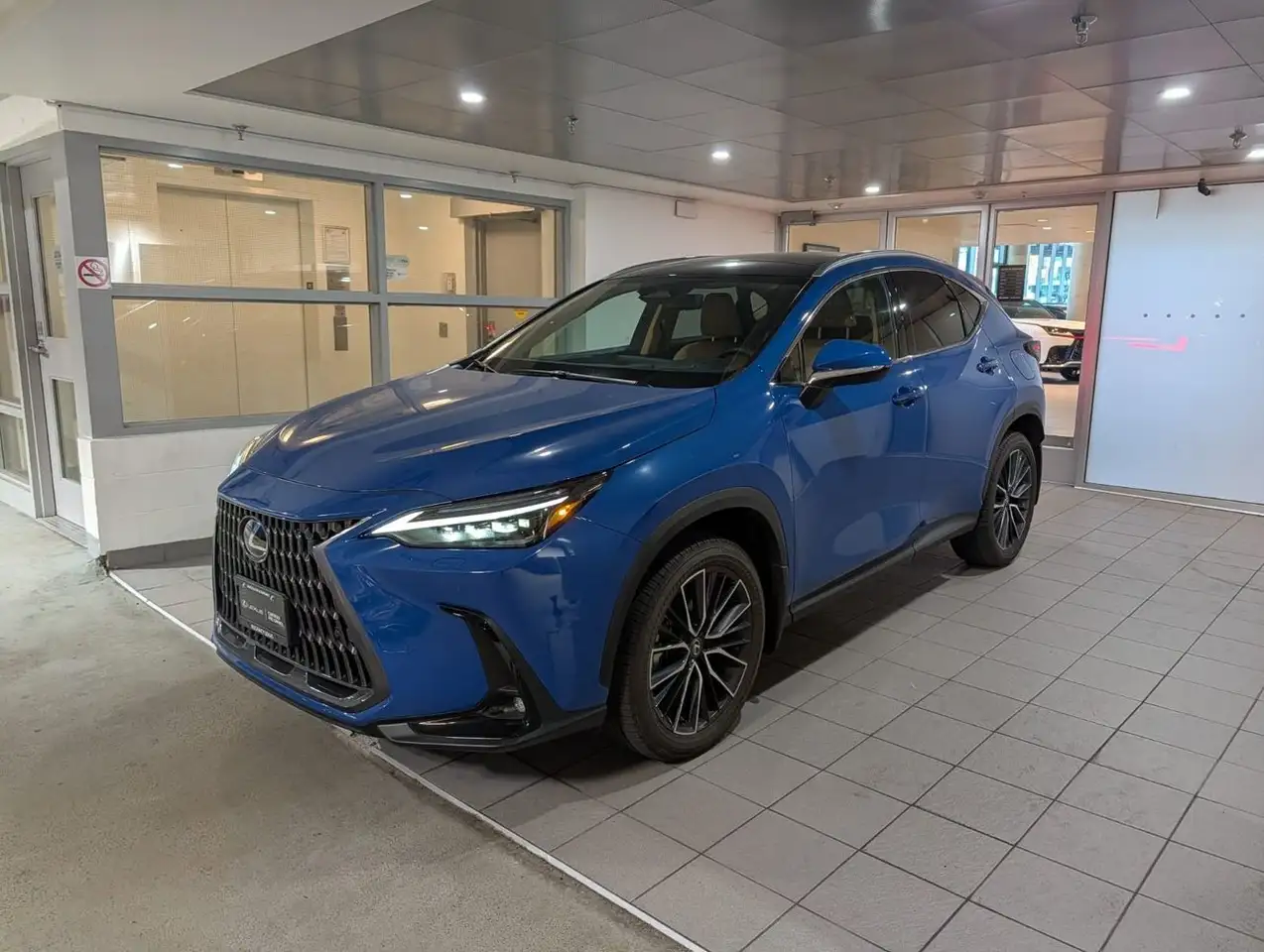 2024 Lexus NX