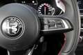 Alfa Romeo Stelvio 2.9 Bi-Turbo Q4 Quadrifoglio AT8 Grau - thumbnail 32