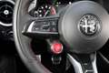 Alfa Romeo Stelvio 2.9 Bi-Turbo Q4 Quadrifoglio AT8 Grau - thumbnail 31