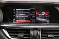 Alfa Romeo Stelvio 2.9 Bi-Turbo Q4 Quadrifoglio AT8 Grau - thumbnail 44