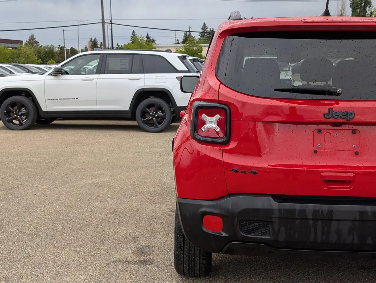 Jeep Renegade fotografie Jeep Renegade