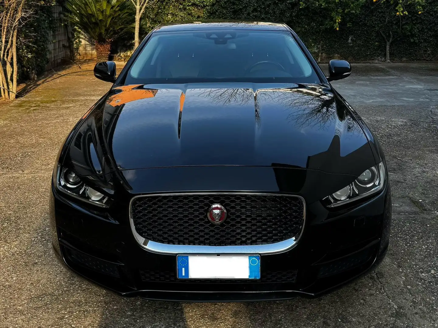 Jaguar XE XE 2.0d Portfolio 163cv auto Nero - 1