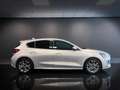 Ford Focus 1.5 EcoBlue 115 CV automatico 5p. ST-Line Argento - thumbnail 4