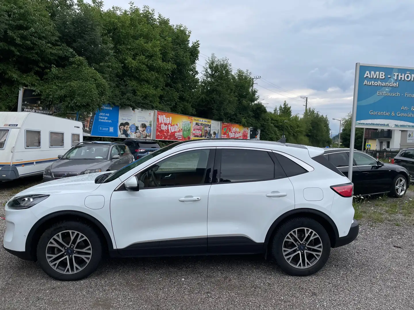 Ford Kuga 2.5 Duratec PHEV Aut. Titanium X,* Virtual, Pano.. Weiß - 2
