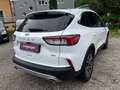 Ford Kuga 2.5 Duratec PHEV Aut. Titanium X,* Virtual, Pano.. Weiß - thumbnail 4