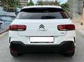 Citroen C4 Cactus C4 Cactus 1.5 bluehdi Shine s Bianco - thumbnail 7