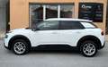 Citroen C4 Cactus C4 Cactus 1.5 bluehdi Shine s Bianco - thumbnail 4