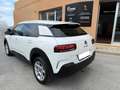 Citroen C4 Cactus C4 Cactus 1.5 bluehdi Shine s Bianco - thumbnail 6