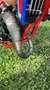 Beta RR 50 ENDURO Rosso - thumbnail 9