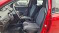 Lancia Ypsilon 1.2 69 CV 5 porte GPL Ecochic Elefantino Blu Rouge - thumbnail 5