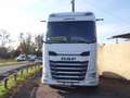 DAF XG 480 FT Bianco - thumbnail 1