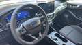 Ford Focus 1.5 ecoblue st-line x 115cv auto Blauw - thumbnail 8