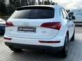 Audi Q5 2.0 TFSI quattro / Bergabfahr Assistent / 19" Weiß - thumbnail 19