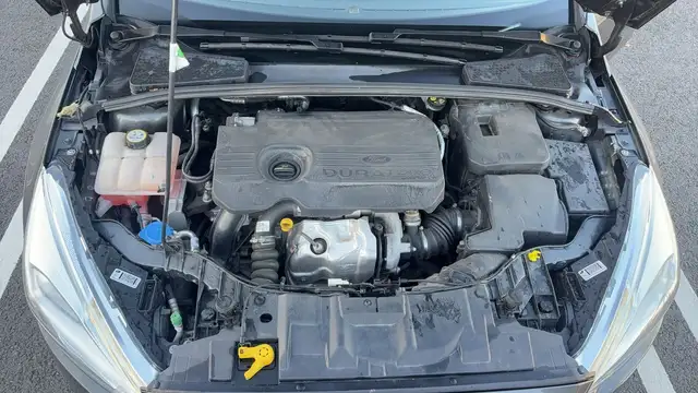 Ford Focus view 15