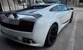 Lamborghini Gallardo Gallardo Coupe Coupe 5.2 LP 560-4 e-gear Blanco - thumbnail 7