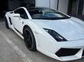 Lamborghini Gallardo Gallardo Coupe Coupe 5.2 LP 560-4 e-gear Blanco - thumbnail 4