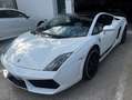 Lamborghini Gallardo Gallardo Coupe Coupe 5.2 LP 560-4 e-gear Blanco - thumbnail 3