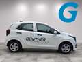 Kia Picanto TITAN 1.2 DPI MT5 79 Weiß - thumbnail 18