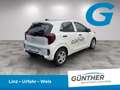 Kia Picanto TITAN 1.2 DPI MT5 79 Weiß - thumbnail 3