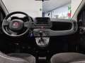 Fiat Panda 1.0 HYBRID*PROMOZIONE*PRONTA CONSEGNA* Nero - thumbnail 25