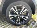 Nissan Qashqai 1.3 MHEV N-Connecta AUTOMAAT PANORAMADAK Gris - thumbnail 6