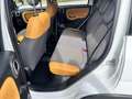 Fiat Panda 4x4 Allrad Weiß - thumbnail 9