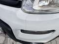 Fiat Panda 4x4 Allrad Weiß - thumbnail 8