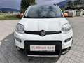 Fiat Panda 4x4 Allrad Weiß - thumbnail 2