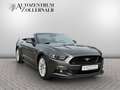 Ford Mustang Cabrio 5.0 V8 GT *SCHALTER*WENIG KM*TOP* Grau - thumbnail 8