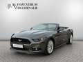 Ford Mustang Cabrio 5.0 V8 GT *SCHALTER*WENIG KM*TOP* Grau - thumbnail 1
