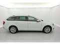 Skoda Octavia Octavia Combi Ambition 1,0 TSI 85 kW 6-speed mech. Grijs - thumbnail 12