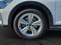 Audi A3 allstreet 35 TDI S tronic AHK Halteassistent Au... Grau - thumbnail 6