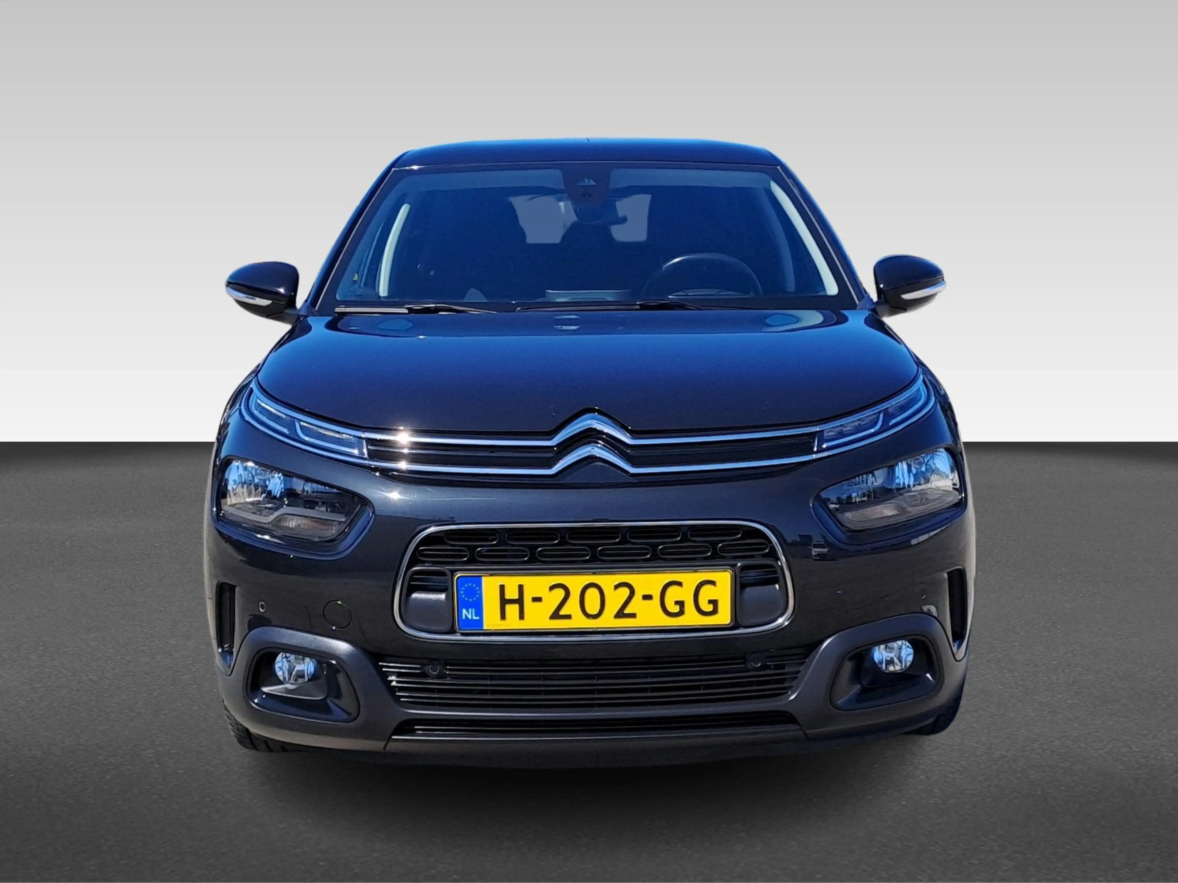 Citroen C4 Cactus 1.2 PureTech Shine Plus — photo 6